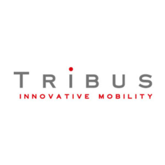 tribus-group_C